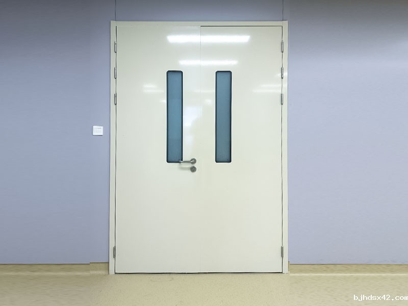 Clean room door